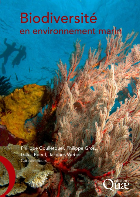 Unencumbered Human Movement in Interactive Immersive Environments