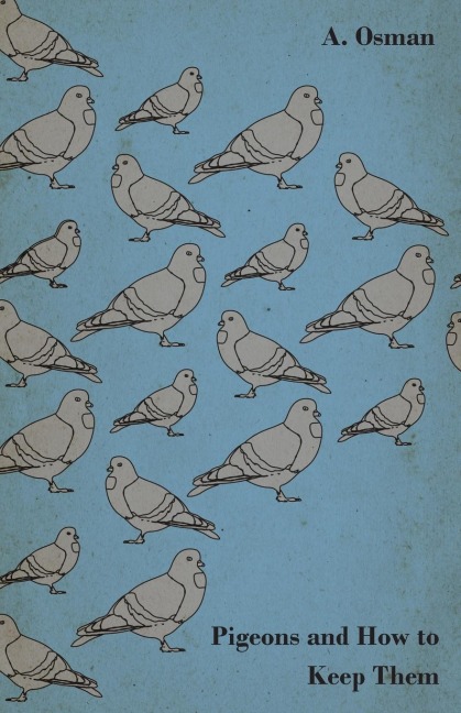 Pigeons and How to Keep Them