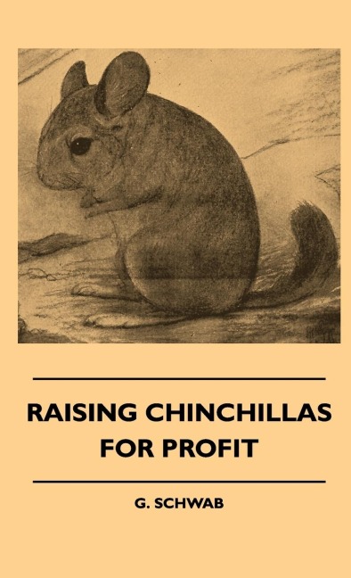 Raising Chinchillas For Profit