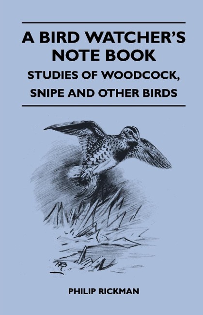 A Bird Watchers Note Book - Studies Of Woodcock, Snipe And Other Birds