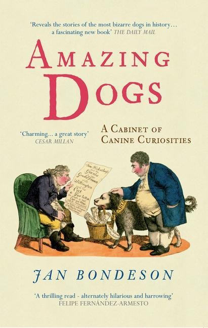 Amazing Dogs: A Cabinet of Canine Curiosities