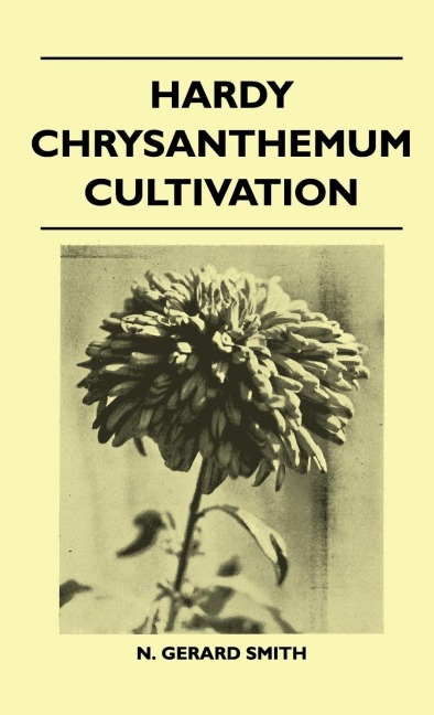 Hardy Chrysanthemum Cultivation