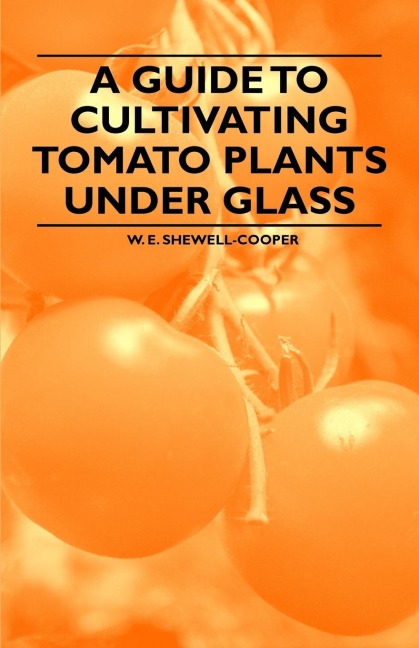 A Guide to Cultivating Tomato Plants Under Glass