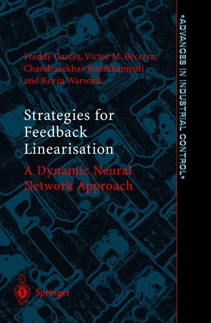 Strategies for Feedback Linearisation: A Dynamic Neural Network Approach