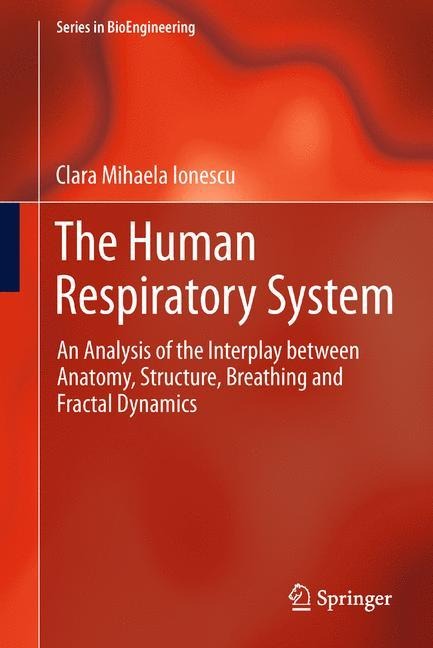 The Human Respiratory System: An Analysis of the Interplay between Anatomy, Structure, Breathing and Fractal Dynamics