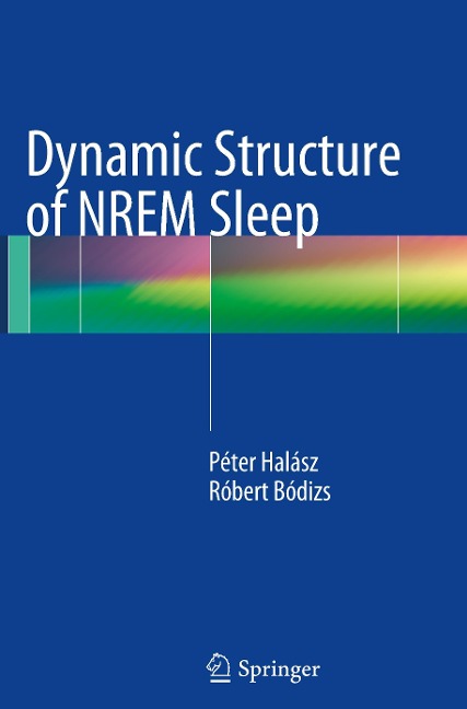 Dynamic Structure of NREM Sleep