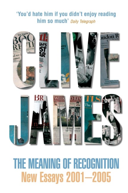 The Meaning of Recognition: New Essays 2001-2005