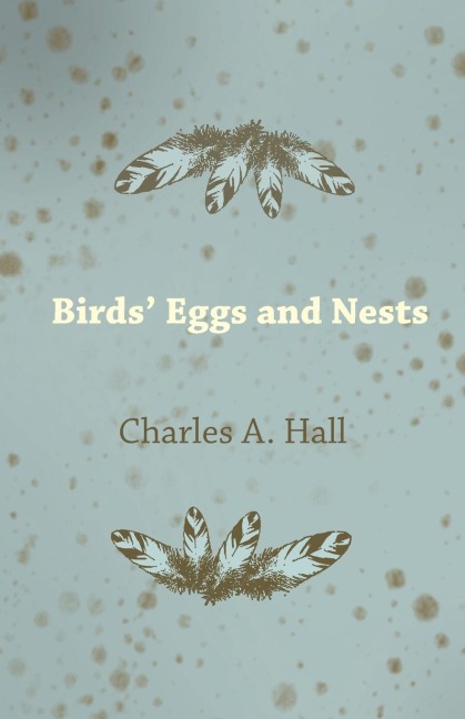 Birds Eggs and Nests