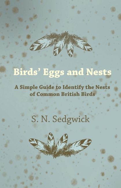 Birds Eggs and Nests - A Simple Guide to Identify the Nests of Common British Birds