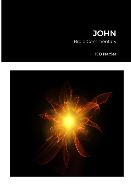JOHN: Bib le Commentary