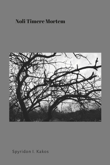 Noli Timere Mortem: On the unfounded fear of death