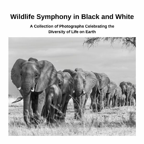 Wildlife Symphony in Black and White: A Collection of Photographs Celebrating the Diversity of Life on Earth