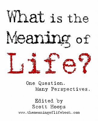 What Is the Meaning of Life? One Question. Many Perspectives