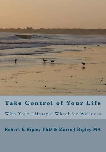 Take Control of Your Life With Your Lifestyle Wheel for Wellness