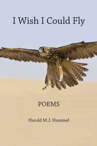I Wish I Could Fly Poems