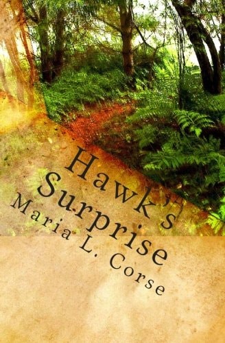 Hawks Surprise Book One in the School House Gang Series