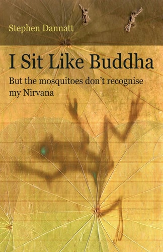 I Sit Like Buddha But the Mosquitoes Don't Recognise My Nirvana