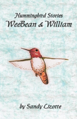 Hummingbird Stories - Weebean and William Hummingbird Baby and a Little Boy