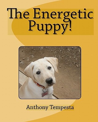 The Energetic Puppy!