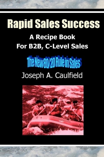 Rapid Sales Success A Recipe Book For B2B, C-Level Sales