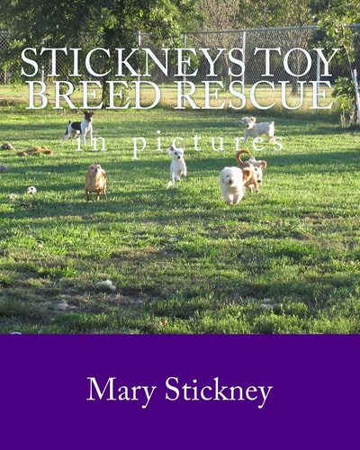 Stickneys Toy Breed Rescue in Pictures 2005 Thru 2011