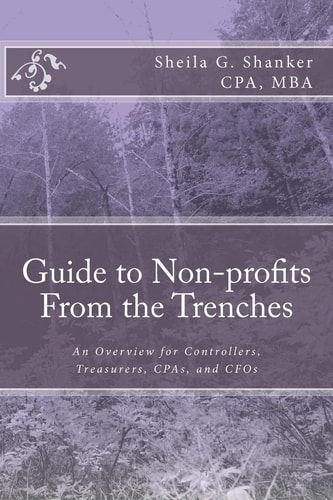 Guide to Non-profits- From the Trenches An Overview for Controllers, Treasurers, CPAs and CFOs