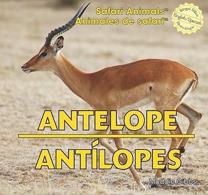 Antelope / Antílopes