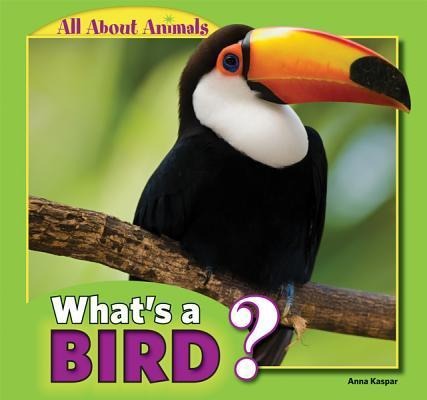 Whats a Bird?