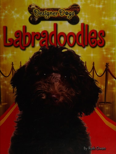 Labradoodles