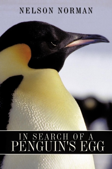 In Search of a Penguins Egg