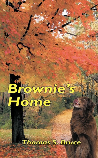 Brownies Home
