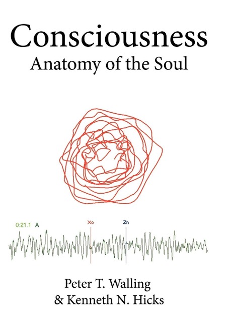 Consciousness: Anatomy of the Soul