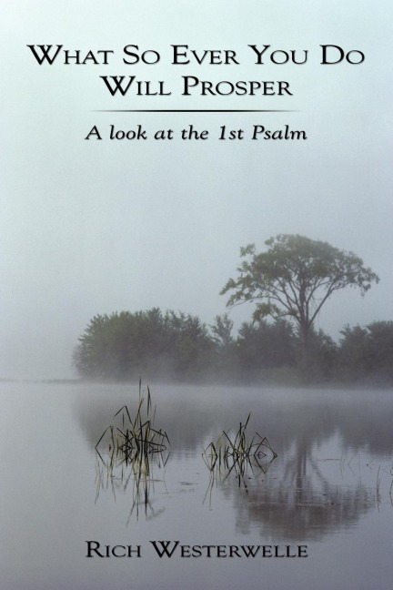 What So Ever You Do Will Prosper: A look at the 1st Psalm