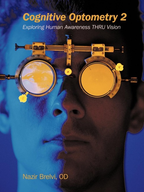 Cognitive Optometry 2: Exploring Human Awareness Thru Vision
