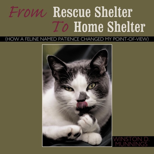 From Rescue Shelter to Home Shelter: How a Feline Named Patience Changed My Point-Of-View