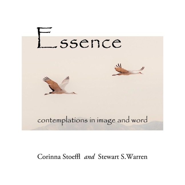 Essence: contemplations in image and word