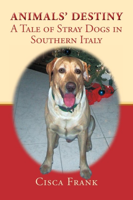 Animals Destiny: A Tale of Stray Dogs in Southern Italy