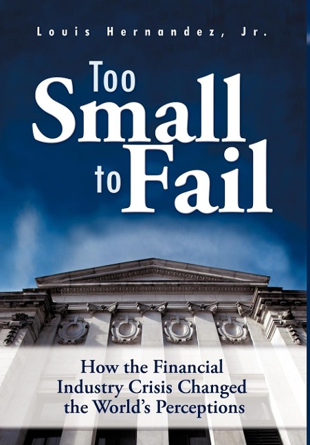Too Small to Fail: How the Financial Industry Crisis Changed the Worlds Perceptions