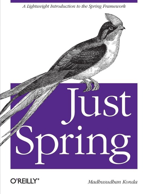 Just Spring: A Lightweight Introduction to the Spring Framework