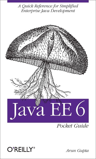 Java Ee 6 Pocket Guide: A Quick Reference for Simplified Enterprise Java Development