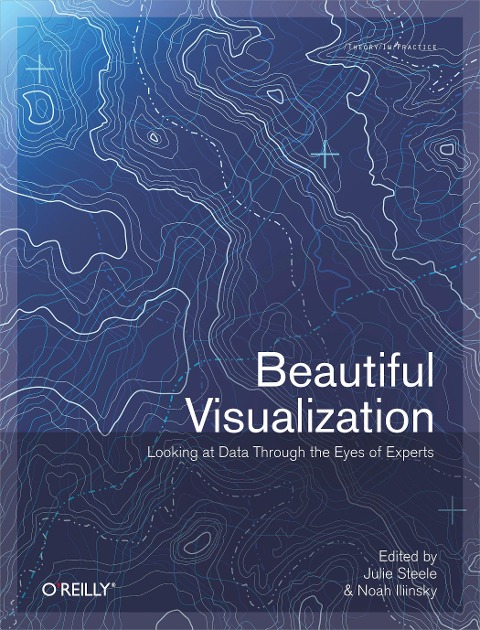 Beautiful Visualization : Looking At Data Through The Eyes Of Experts: Looking At Data Through The Eyes Of Experts