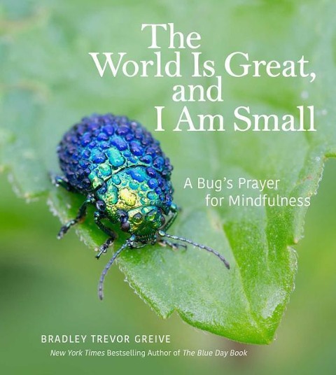 The World Is Great, and I Am Small: A Bugs Prayer for Mindfulness