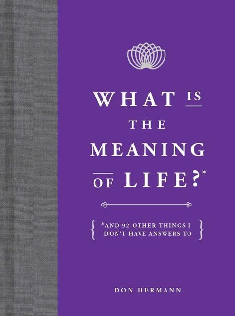 What Is the Meaning of Life?: And 92 Other Things I Dont Have Answers to
