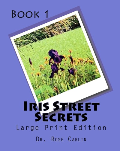 Iris Street Secrets Large Print Edition