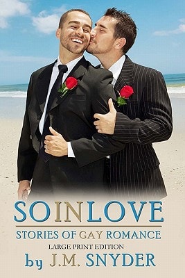 So In Love [LARGE PRINT EDITION] Stories of Gay Romance