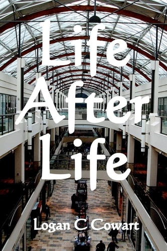 Life After Life Large Print Edition