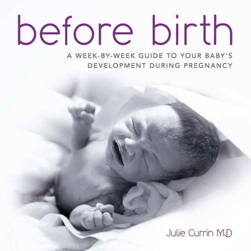 Before Birth A Week-by-week Guide to Your Baby's Development During Pregnancy