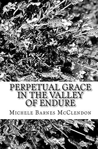 Perpetual Grace in the Valley of Endure A Poetic Interlude