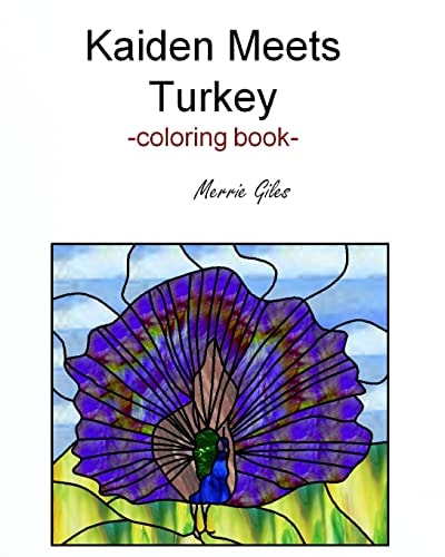 Kaiden Meets Turkey