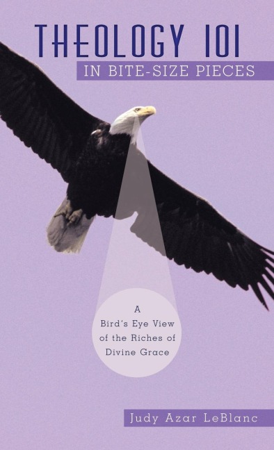 Theology 101 in Bite-Size Pieces: A Birds Eye View of the Riches of Divine Grace